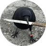 Crow with knife  icon